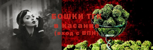 PSILOCYBIN Мегион