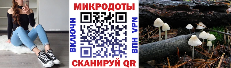 Галлюциногенные грибы ЛСД  Медвежьегорск 